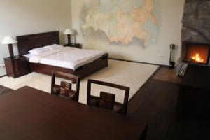 Double Room with Fireplace room in Hotel Expeditsia