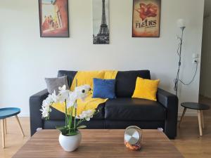 Grand Appartement Dreams