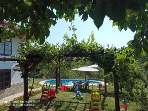 Дядо Цоньовата къща - Suhaia