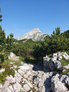 Holiday Home Prdelanca