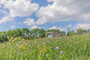 Hotels Terre d'Horizon Auvergne : photos des chambres