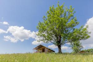 Hotels Terre d'Horizon Auvergne : photos des chambres