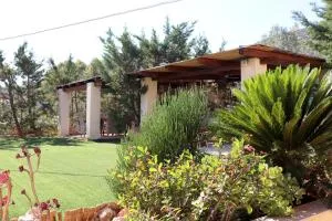 ARMONIA Salanti - Koilás