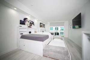 Modern and Luxurious Brickell Studio