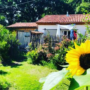 Maisons de vacances LES VACANCES AUX CERCINS : Maison 2 Chambres