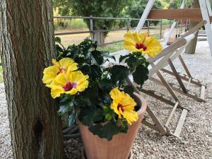 Le Clos des Sept Palmiers photo 6