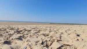 Maisons d'hotes O de mer - a 20m de la plage : photos des chambres