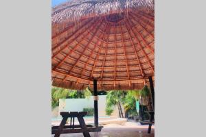 Relax en la playa con mas de 70 servicios