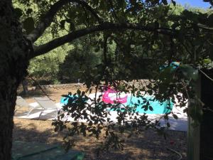 Maisons d'hotes Villa Bleucassis : photos des chambres