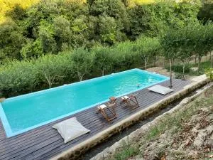 Quinta das Ameixas - Country & Nature - Arouca