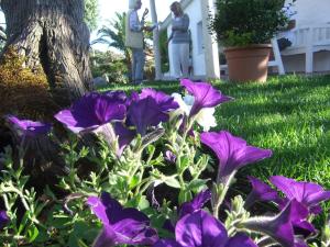 Residenza Nialiccia img7