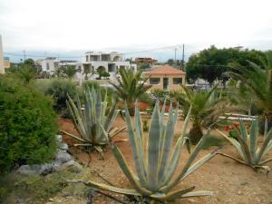 Nanakis Beach Luxury Apartments Chania Greece