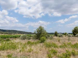 Maisons de vacances Apartment near the river in Bize Minervois : photos des chambres