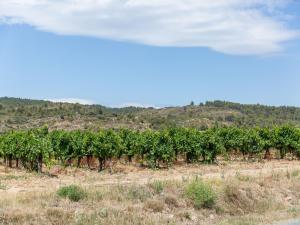 Appartements Alluring Apartment in Bize Minervois with Private Terrace : photos des chambres