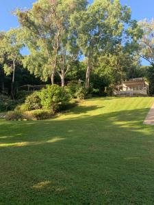 Beachfront Dolphin Cabin