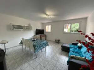 T3 pont romain Amelie les bains - Reynès