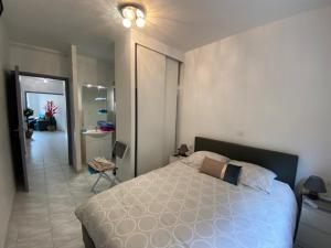 Appartements T3 pont romain Amelie les bains : photos des chambres