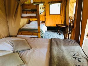 Tentes de luxe Tente lodge Elevage Girbal : photos des chambres
