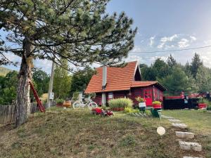 Brvnara ispod Čigote