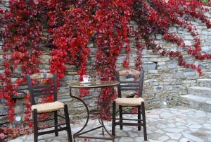 Dryades Guesthouse Orini-Nafpaktia Greece