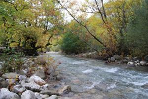 Dryades Guesthouse Orini-Nafpaktia Greece