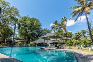 obrázek - Sefapane Lodge and Safaris