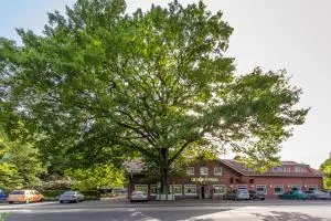 巴斯曼旅馆 - 布特亚丁根