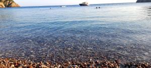 Apartmani Vukmanovic