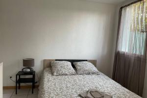 Appartements Toulouse - Le jardin des Argoulets : photos des chambres