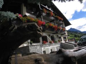 Hotel Gardenia