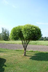 Brändö Bike and Bed