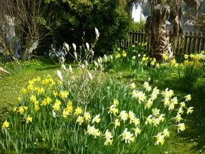 圣莫尔旅馆 - Wroxall