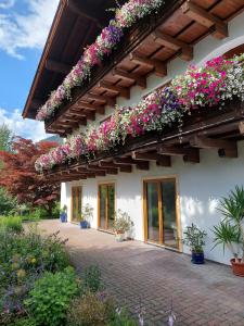 Stony Sea Apartments