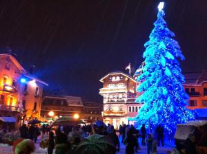 Appartements Le Hameau des Neiges : photos des chambres