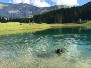 Appartements Le Hameau des Neiges : photos des chambres