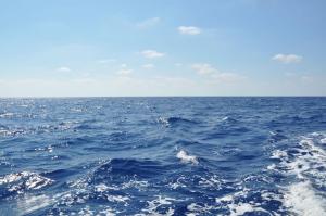 Central Large Apt Next to the Beach