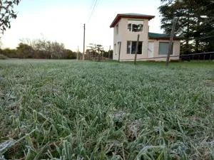 Maika La Peke - Pringles