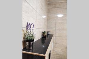 Spacious apartment near city center and the beach