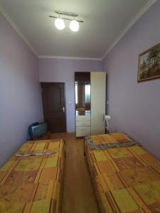 Budget Twin Room room in Guesthouse Cezar