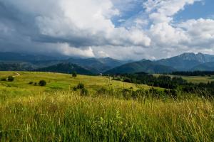 Apartament Zacisze