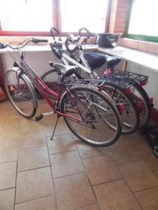 Tisza-ziza vendégház