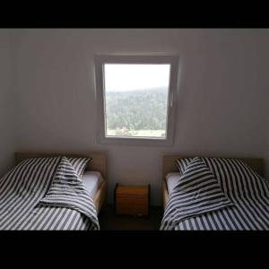 Tara Suncani sjaj-planinska kuca