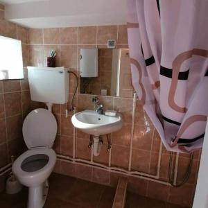 Tara Suncani sjaj-planinska kuca