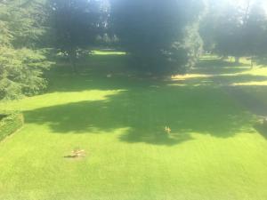 El Castillo, aux portes de Honfleur