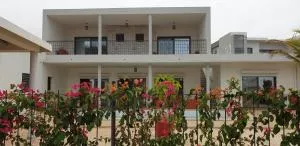 Amour Sénégal - 恩加帕鲁