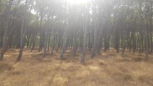 Residenza Bottego Mare img44