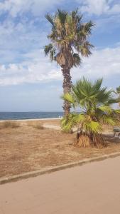 Residenza Bottego Pineta img41