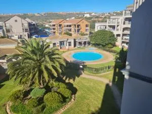 Portobelo 51 - DʼAlmeida