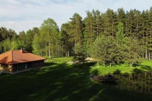 Forest house for family