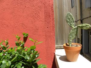 Appartements La Terrasse du Marche aux Fleurs : photos des chambres